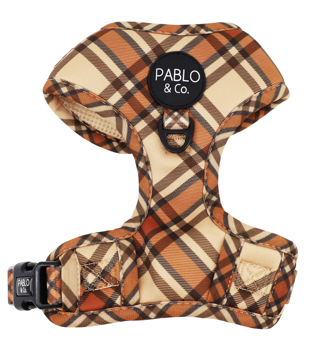 Screenshot 2025-12-02 at 10.20.22 am.png