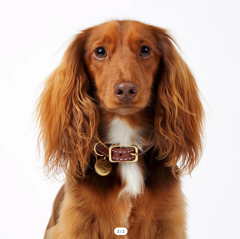 Screenshot 2026-04-05 at 8.56.36 pm.png