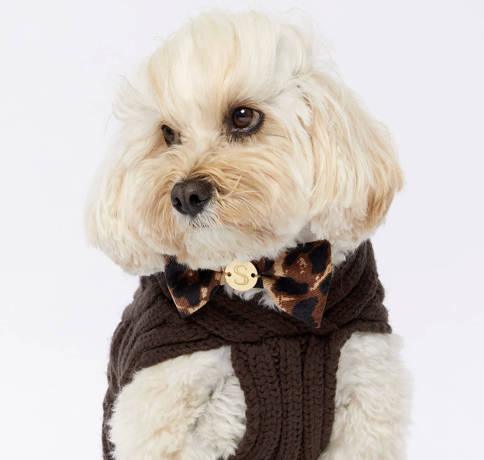 Screenshot 2026-04-24 at 11.15.04 am.png