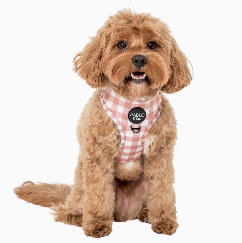 CHOCOLATE GINGHAM.png