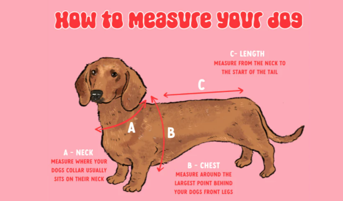 SIZE CHART 2.png