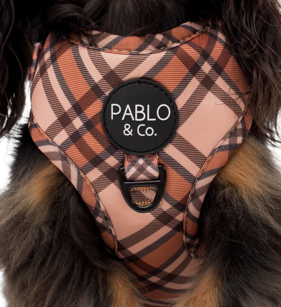 Pablo & Co Harness: Kensington
