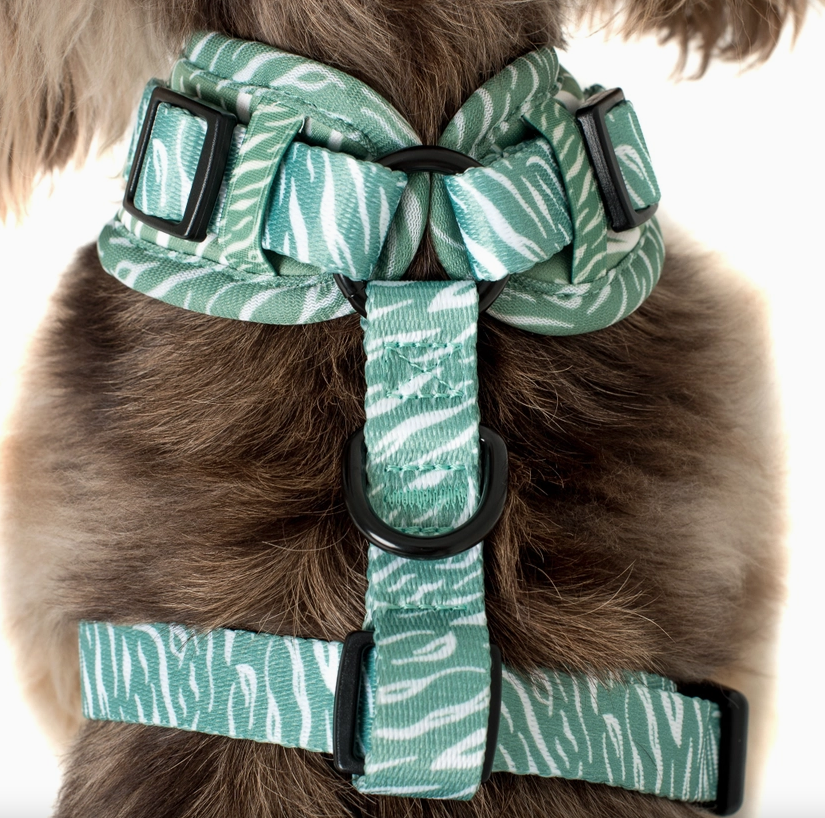 GREEN ZEBRA 3.png