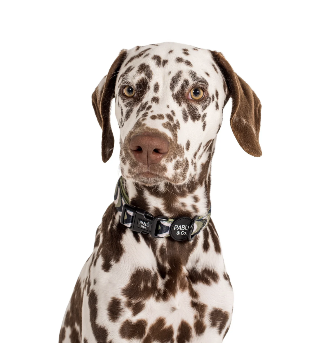 Screenshot 2026-01-21 at 2.30.01 pm.png