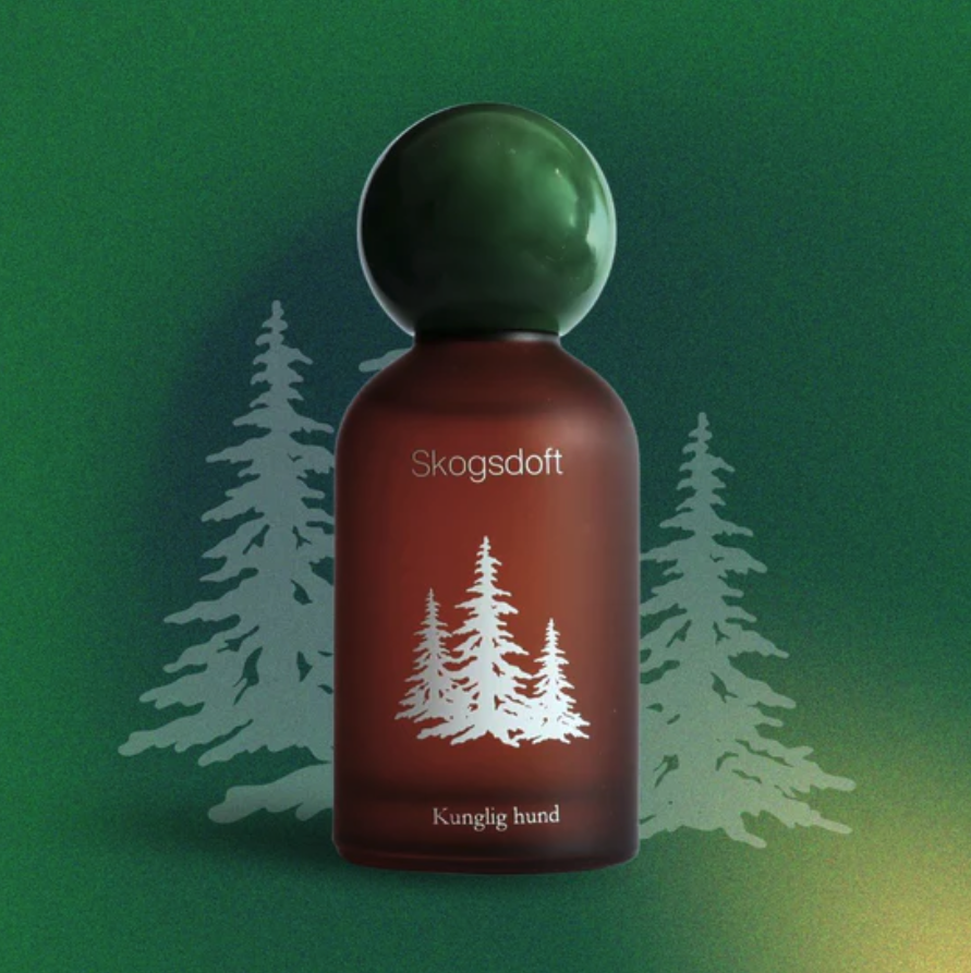 Screenshot 2026-04-05 at 8.48.46 pm.png