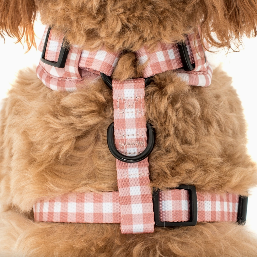 CHOCOLATE GINGHAM 3.png