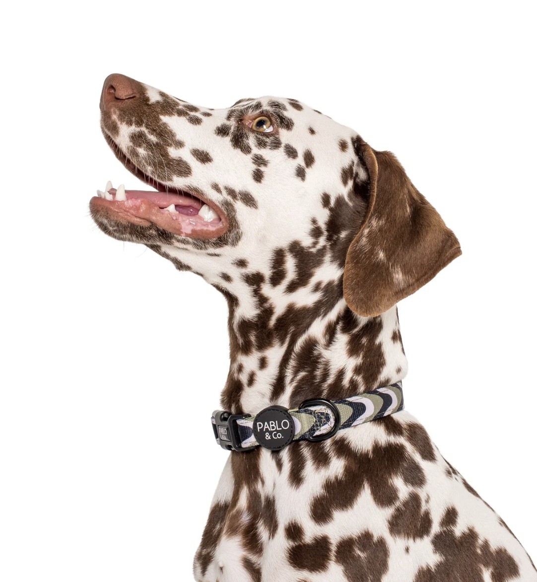 Screenshot 2026-01-21 at 2.29.51 pm.png