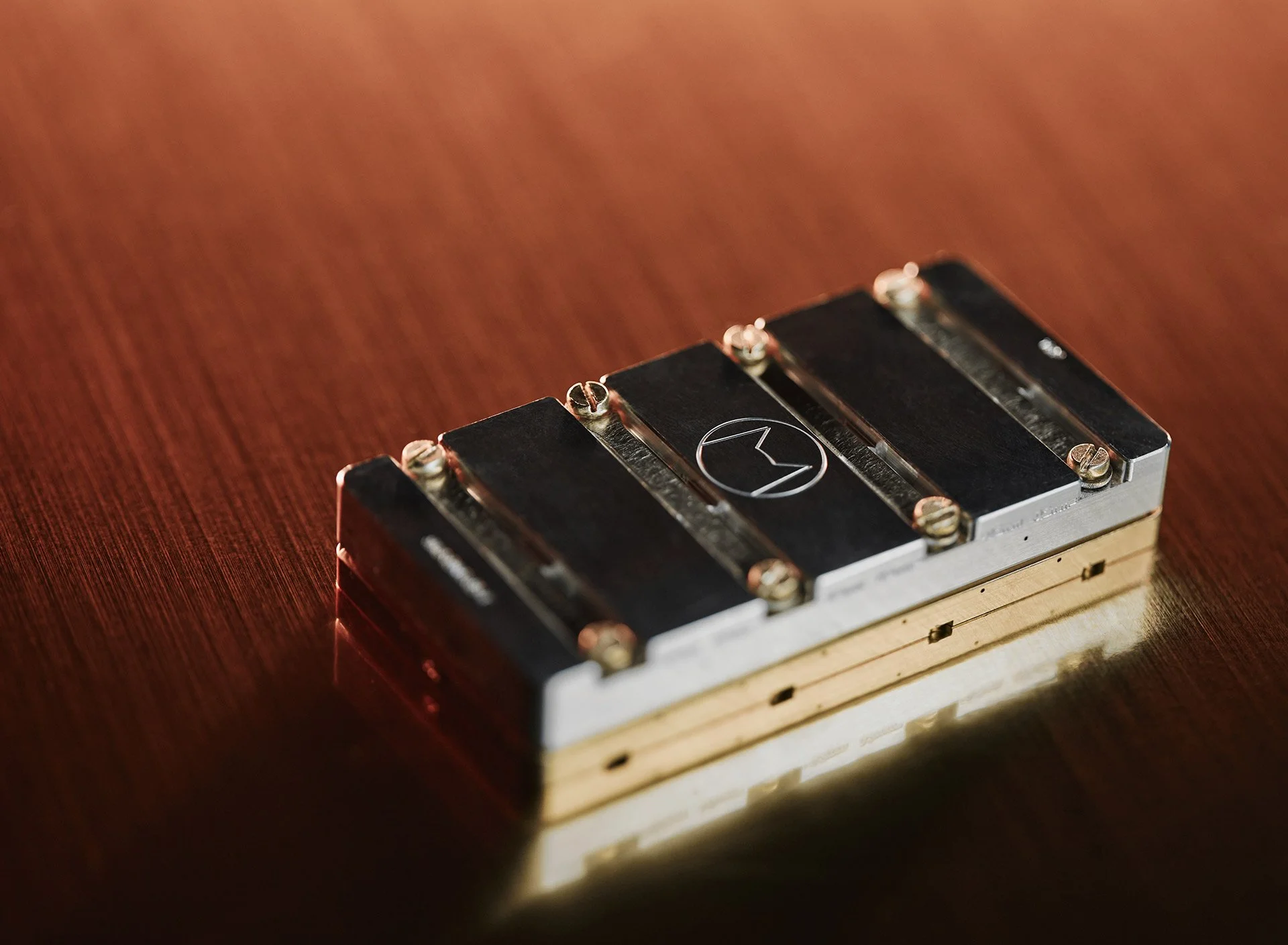 CHIPS_A_B 2023 3161_Vert.jpg