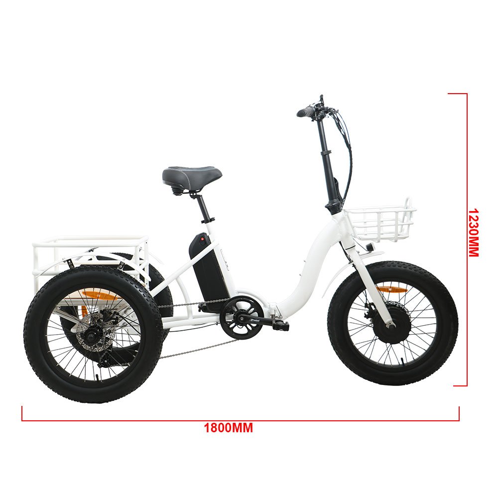 NEW-TRIKE-11.jpg