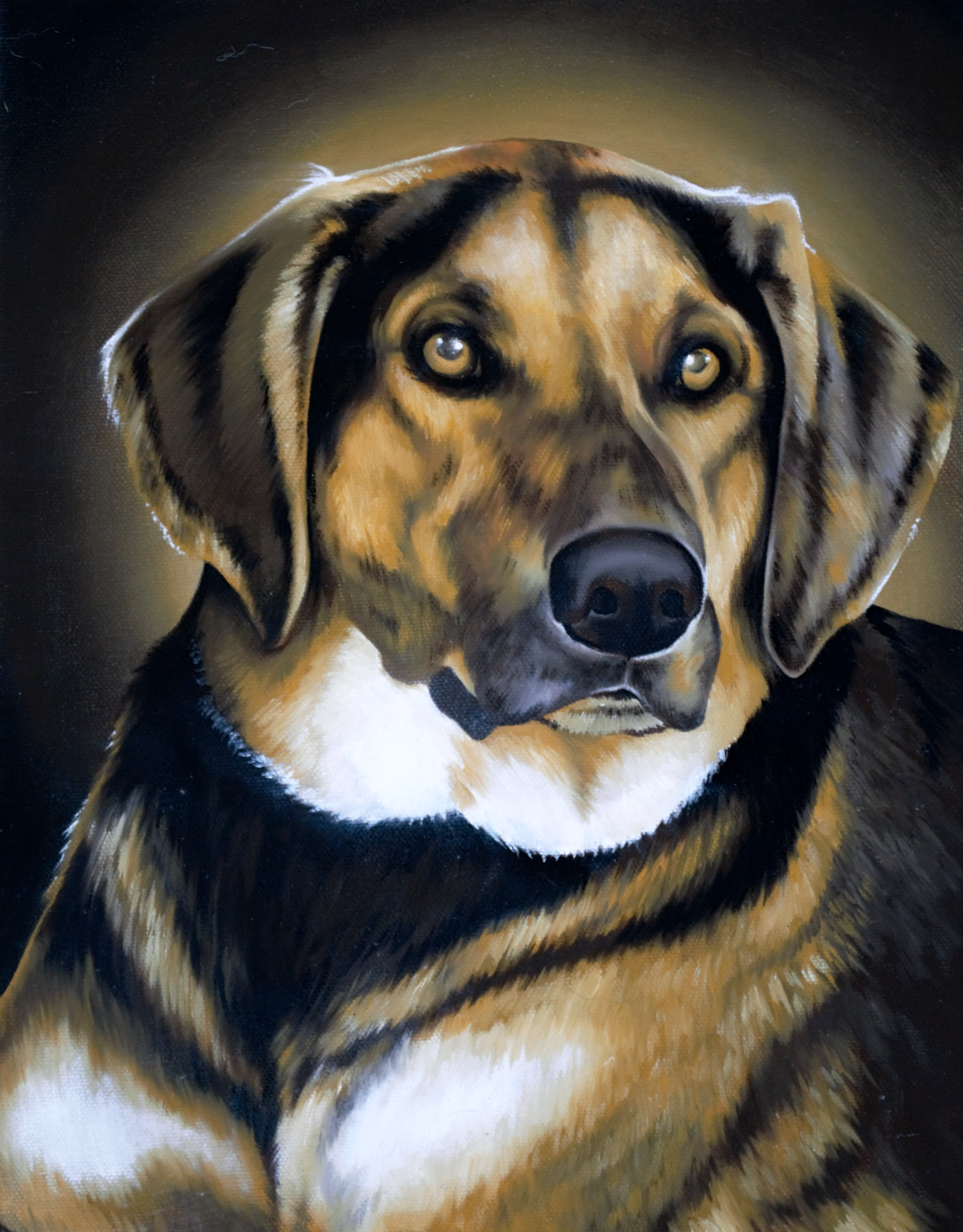 11"x14" Oil on Gallery Wrapped Canvas
