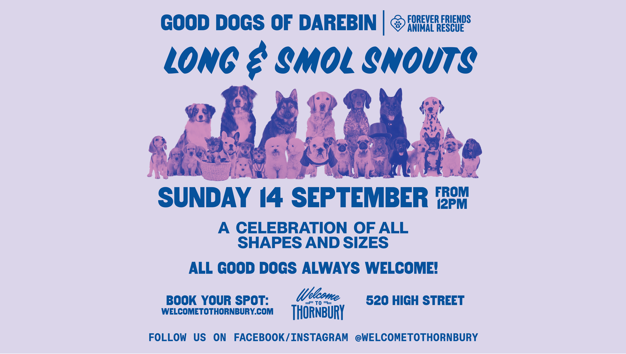 GOOD DOGS OF DAREBIN