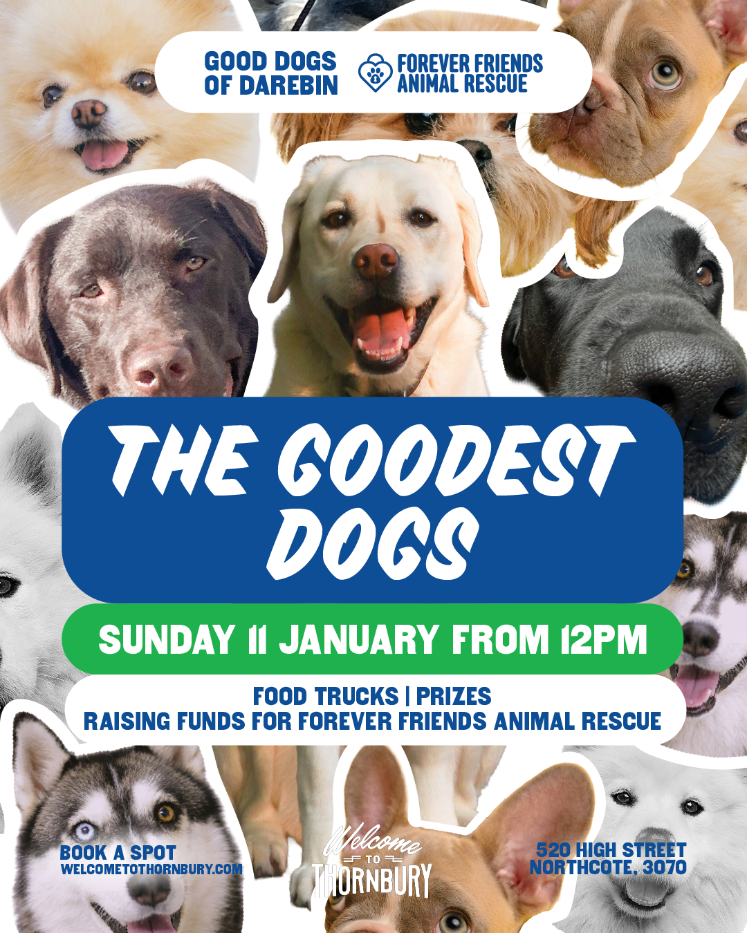 THE GOOD-EST DOGS OF DAREBIN 
