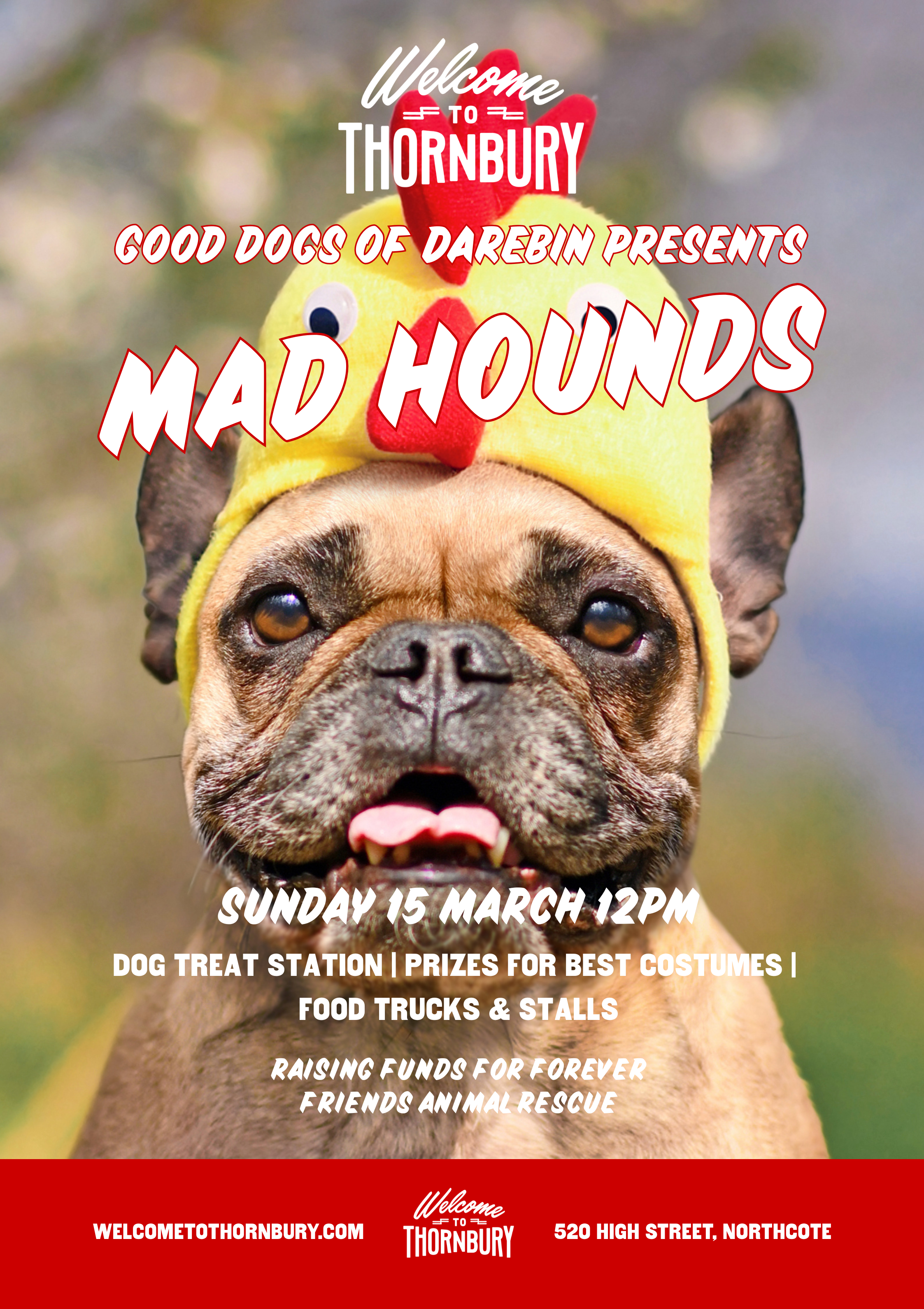 GOOD DOGS OF DAREBIN - MAD HOUNDS