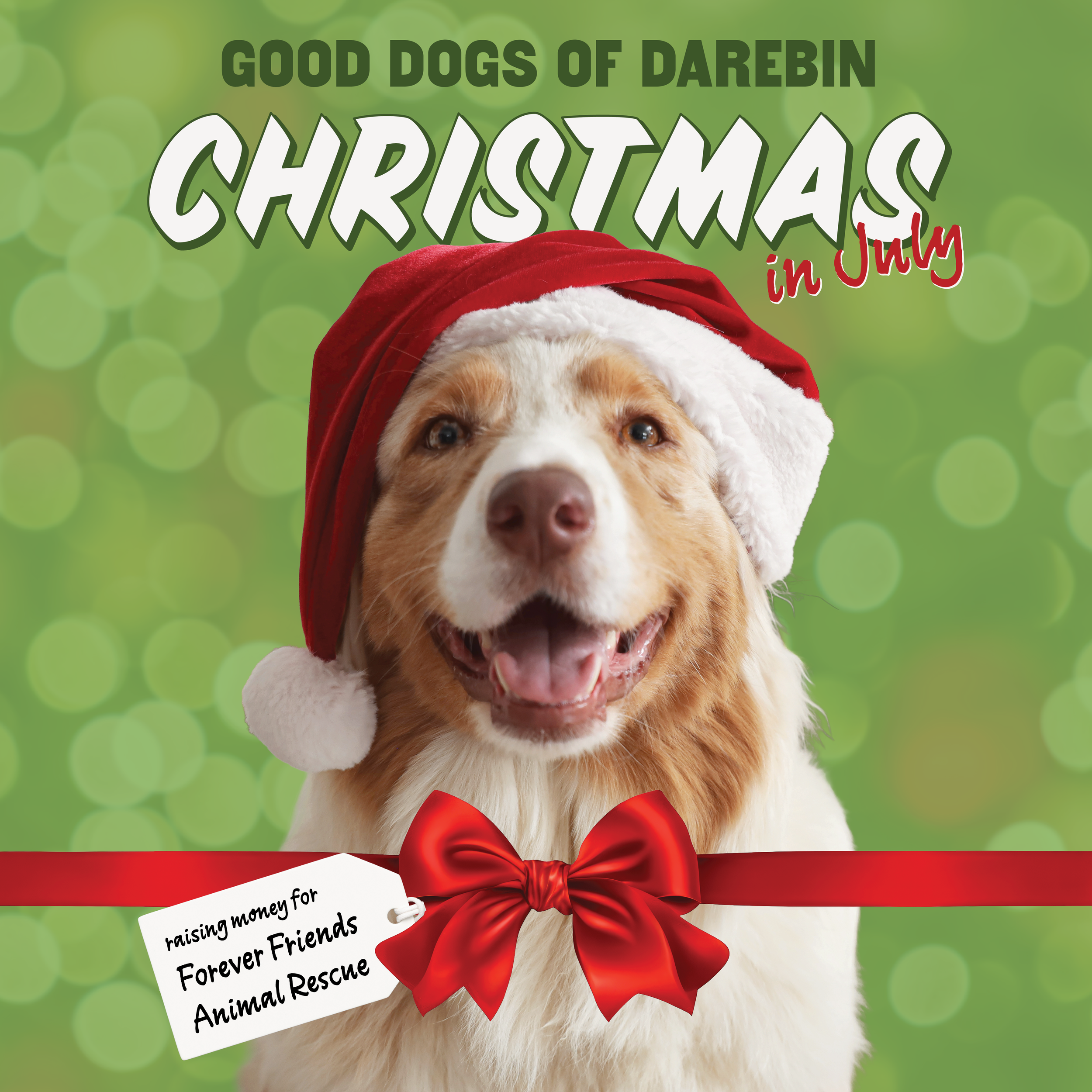Good dogs: christmas in july
