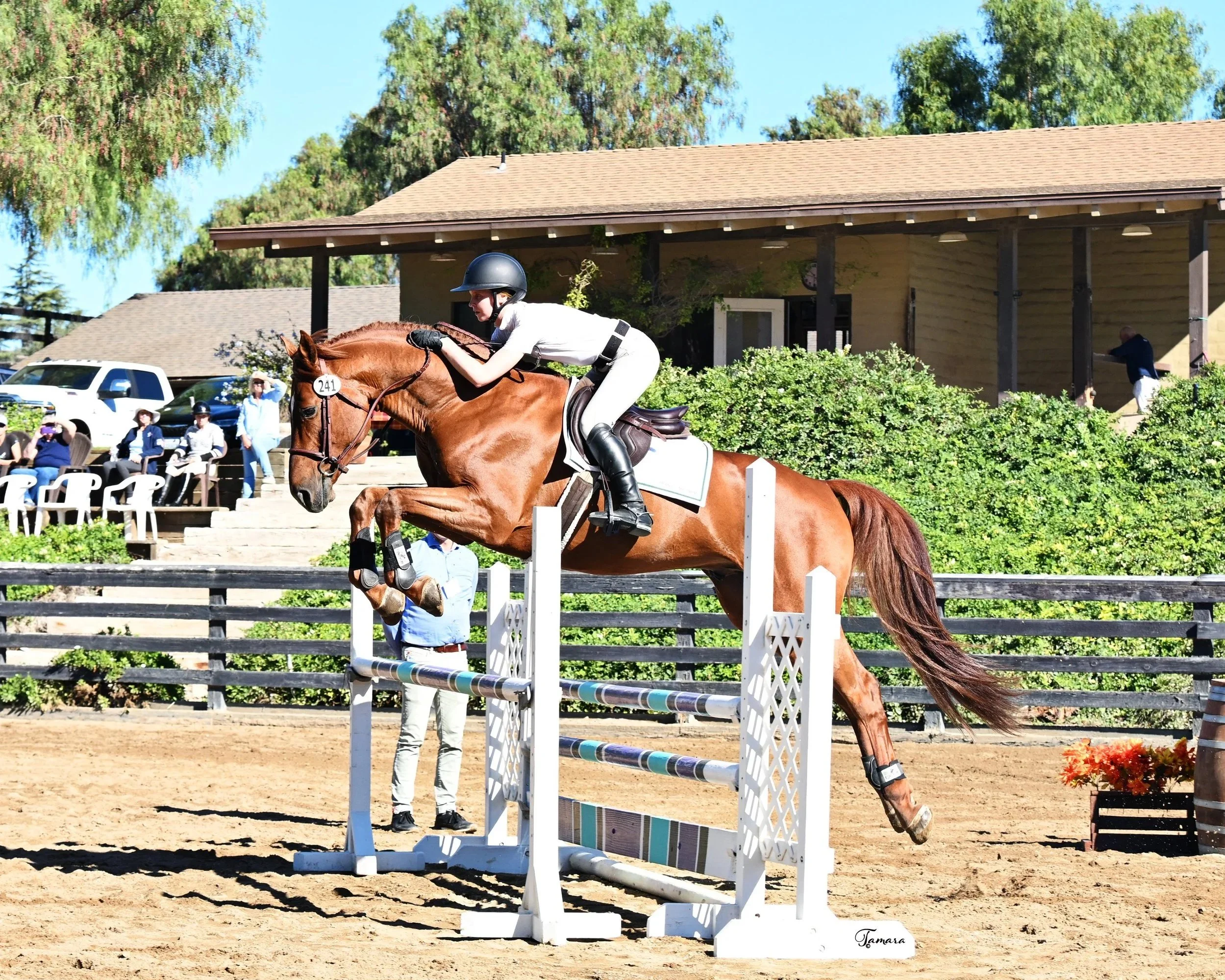 NASST+25+Valentino+BF+8232.jpg