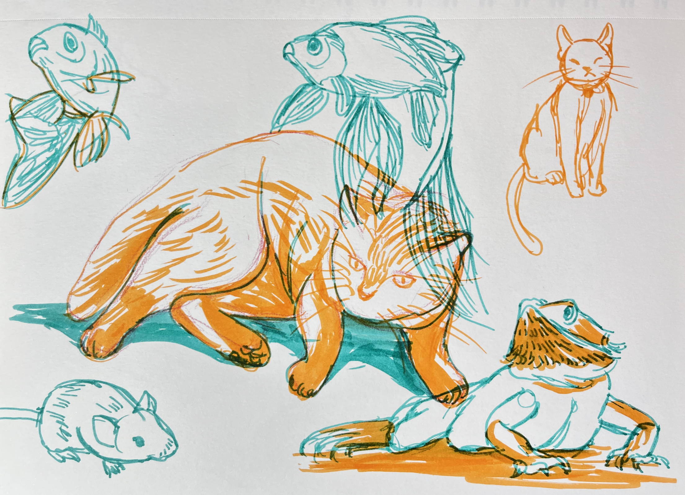 Screen Shot 2023-02-06 at 3.53.43 PM.png