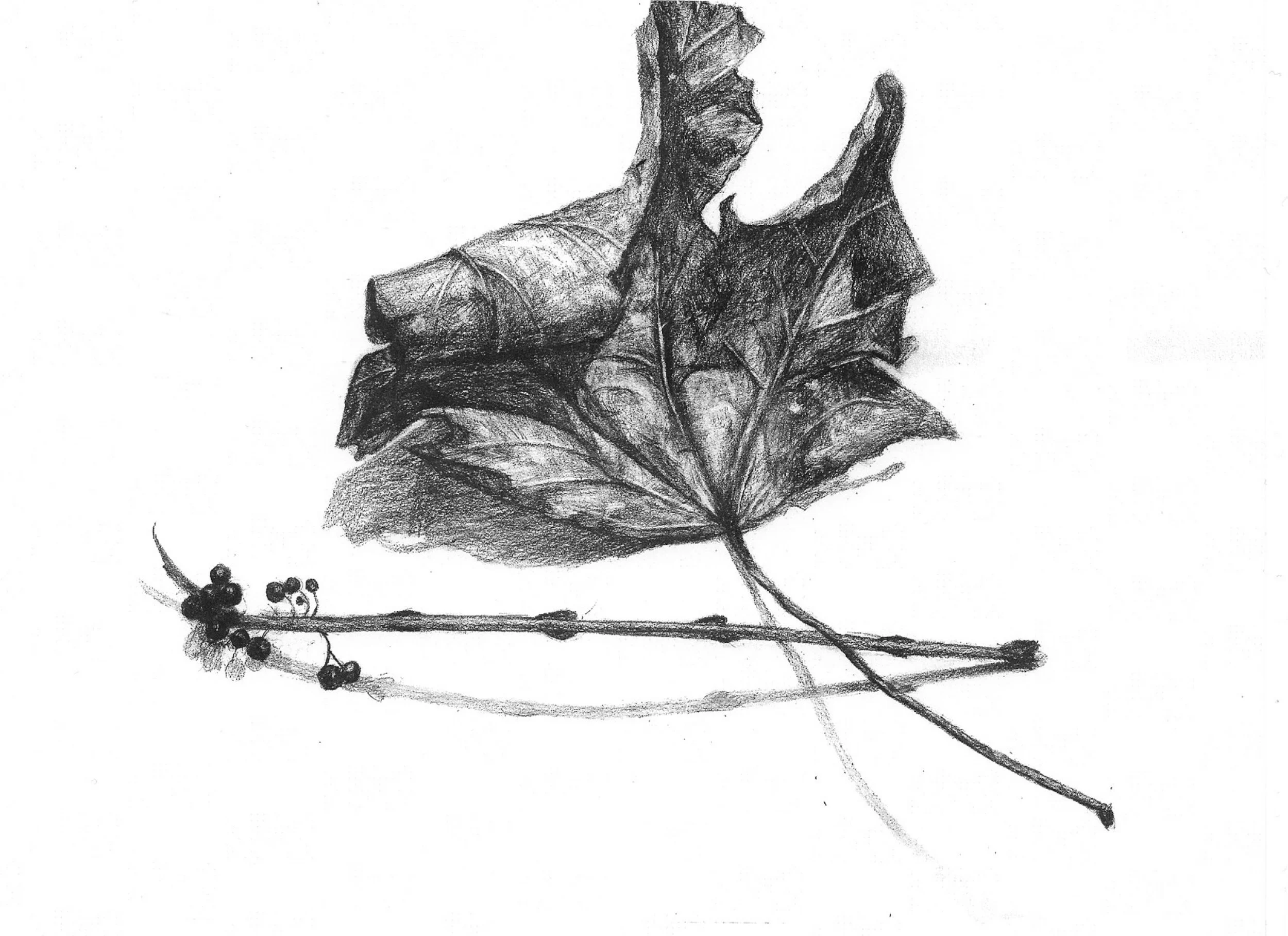 Scan 3_page-0001.jpg