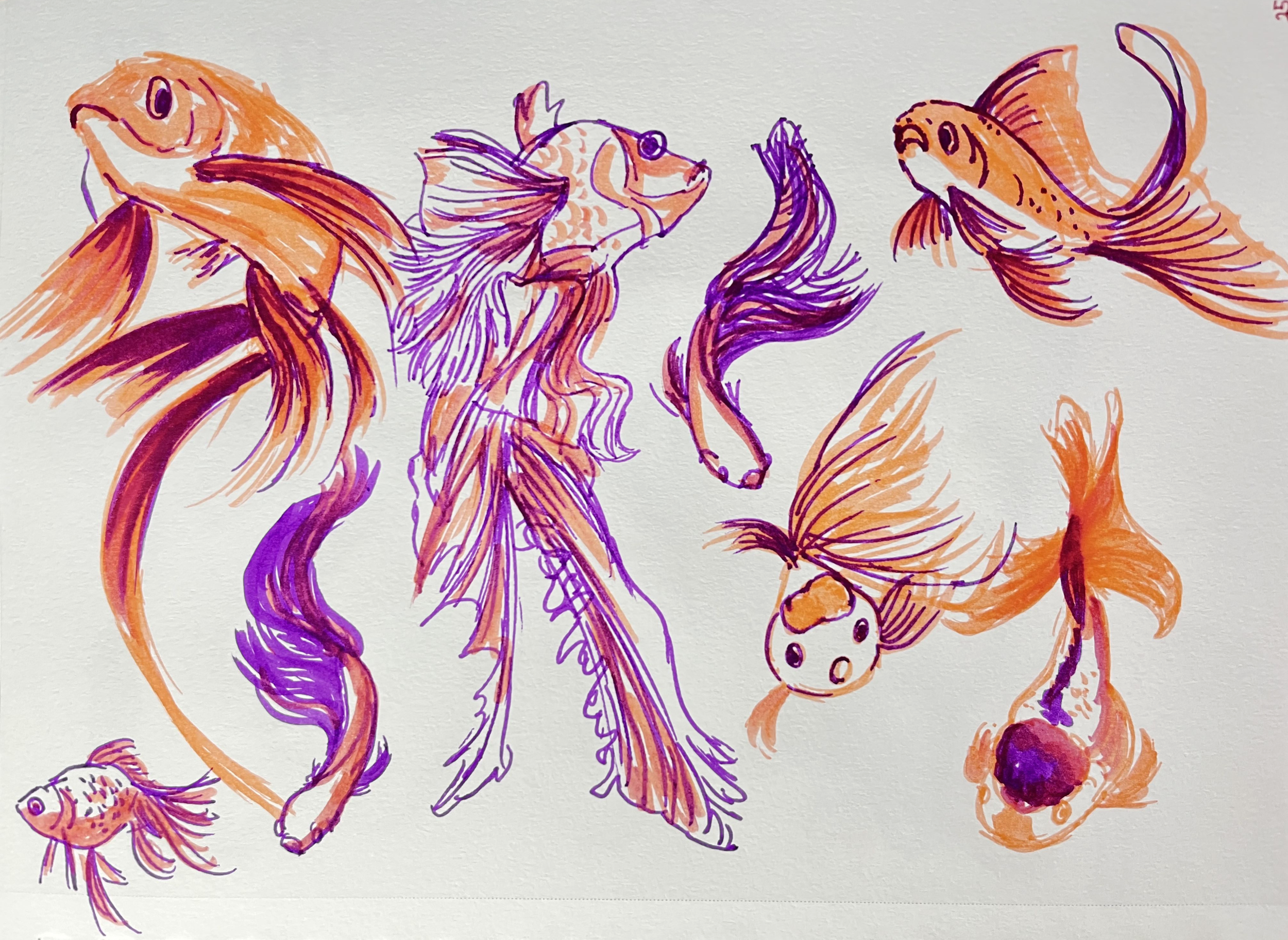 Screen Shot 2023-02-06 at 3.54.26 PM.png