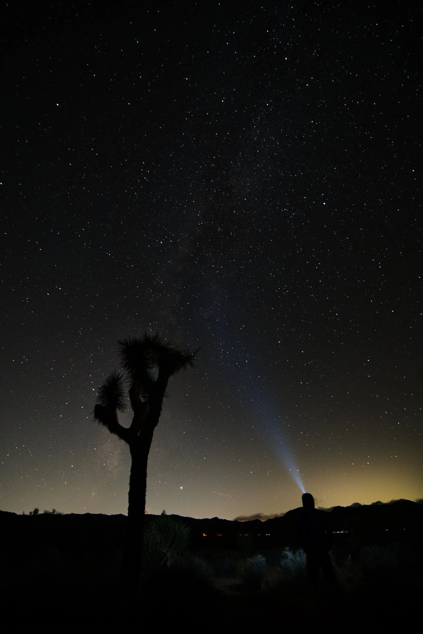 Unforgettable Desert Landscapes: Exploring Joshua Tree National Park from Palm Springs