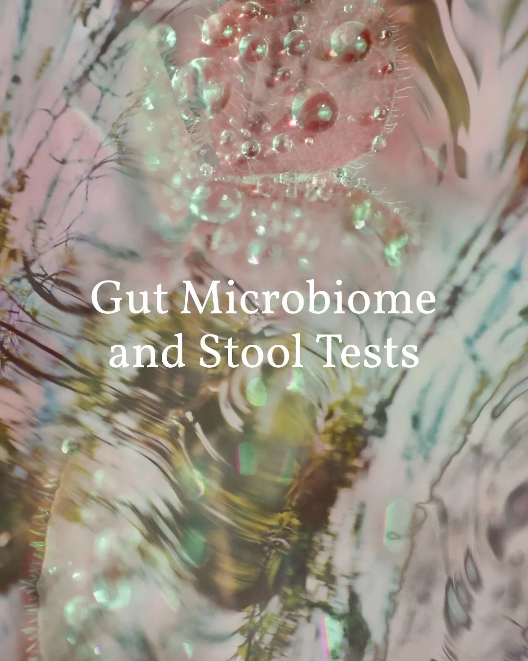 Dissecting our latest write up by our Mel
🧫🦠
Gut Microbiome and Stool Tests: Do I need to know what lives in my gut?
Av a full read of the article under our blog section on our website - or head to the link in our bio 
www.thedigestionco.com.au