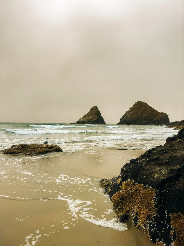 Shimizu+Photography-iphone-portrait-eugene-oregon-sandmarc-filter-review-2+2.JPG