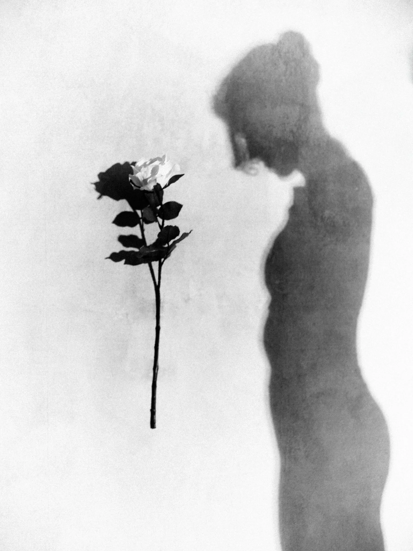 Portrait of Shadows - half a memory

I have been fascinated by the shadows lately, especially after visiting Hiroshima. (You might know what I'm talking about if you've been there) It's so hard to capture, but it's so interesting when it works. ☺️