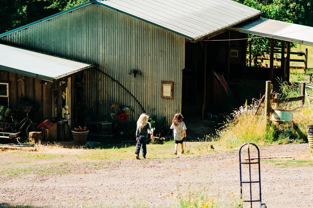 Two children walking in front of a rustic farm building with metal and wooden siding and a metal roof, surrounded by greenery and farm equipment.