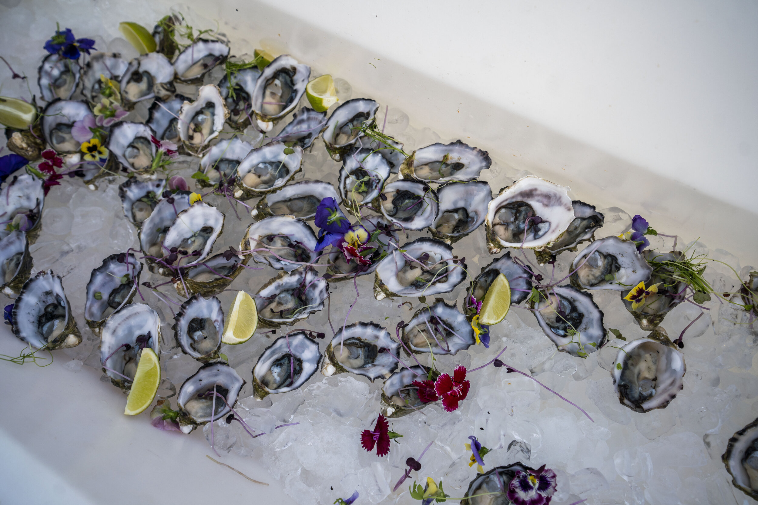 Barefoot Beach Charity Gala Oyster Appetiser