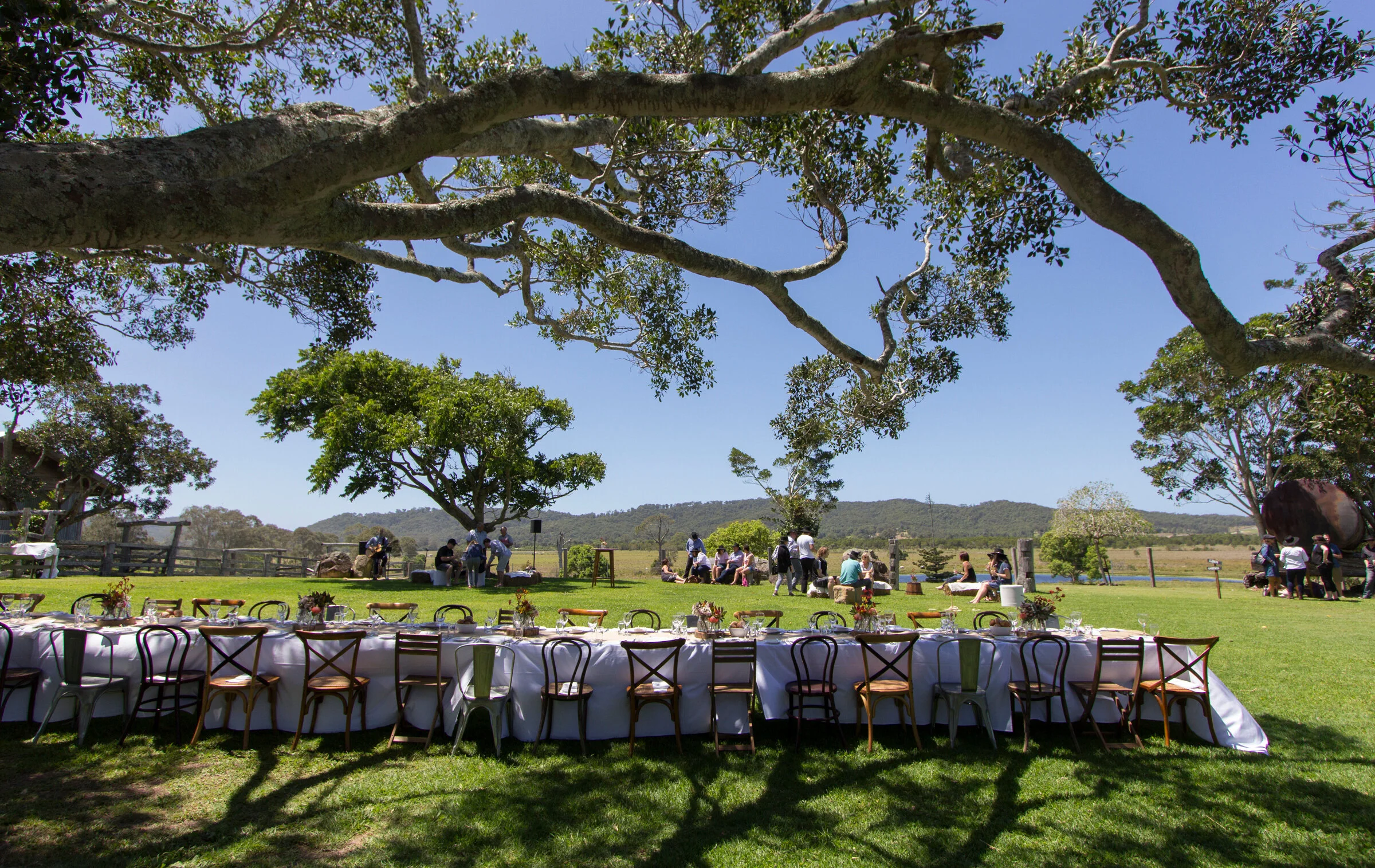 Corporate Long Lunch Event Table Setting