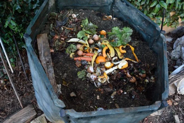 composting-container-istock-curtoicurto-600x400.jpg