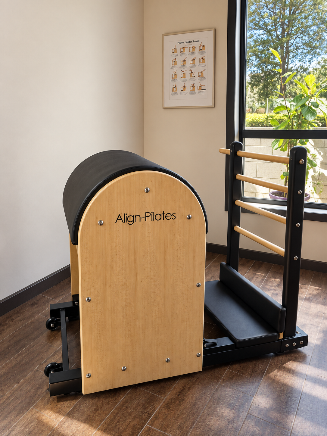 A Pilates equipment called Align-Pilates in a room with a large window showing outside greenery and a tree. There is a framed poster on the wall detailing Pilates ladder barrel exercises.
