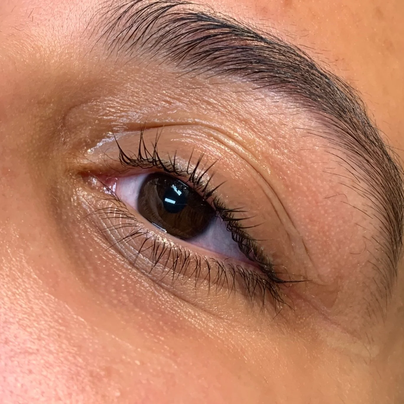 Lash Lifts