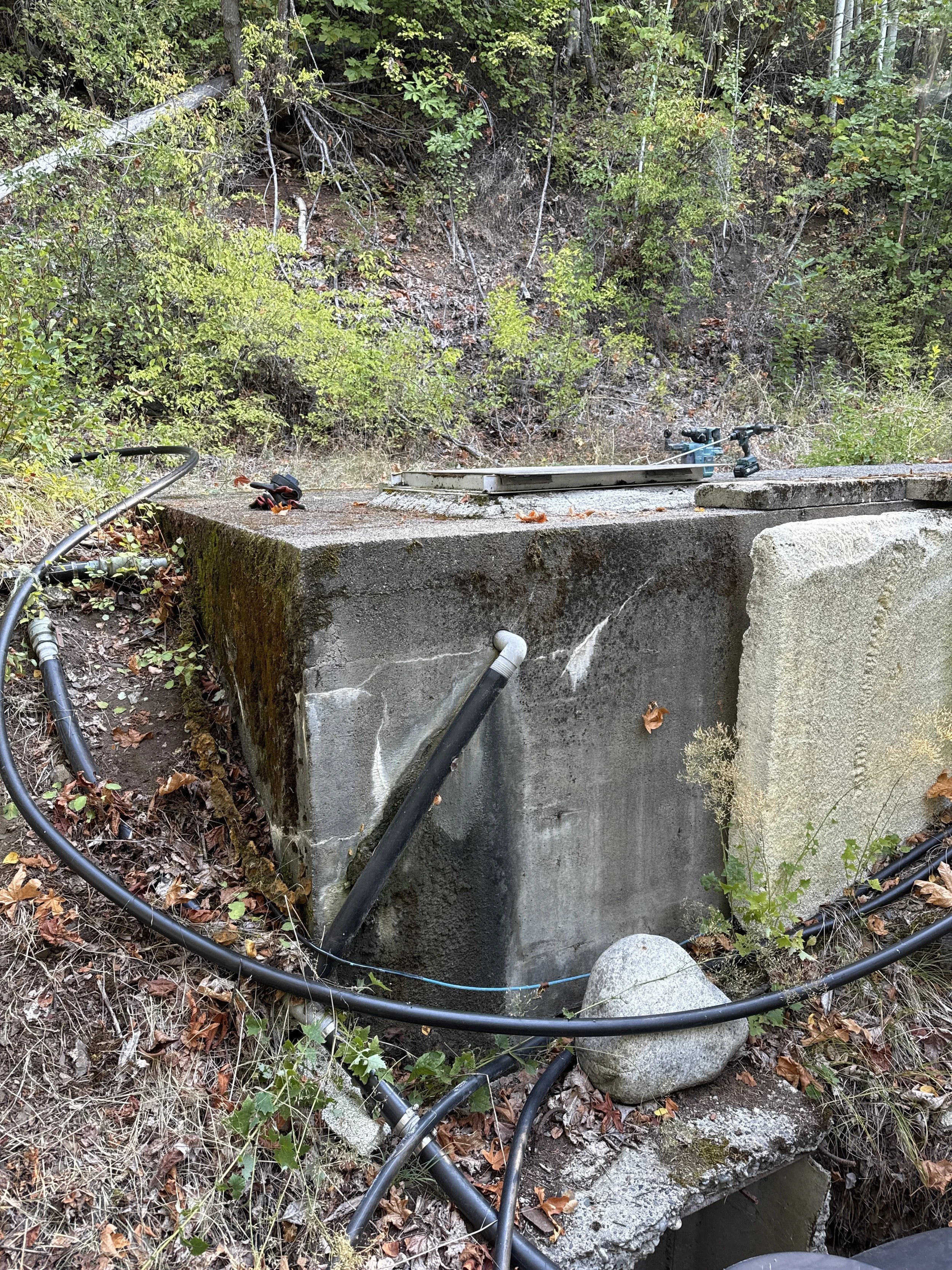 Photo 2.jpg
