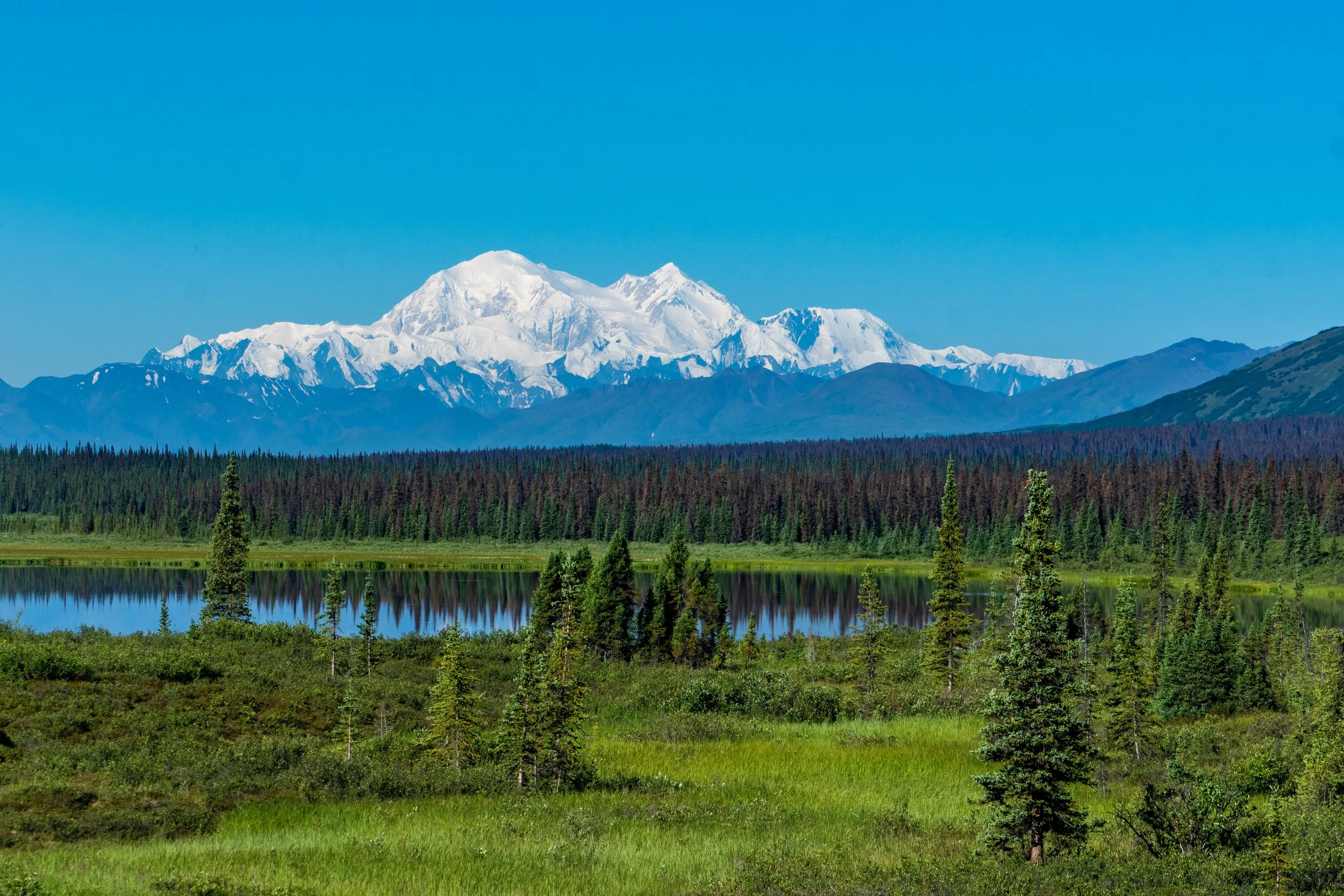 What Is The Closest Airport To Denali National Park www.northernepics.com