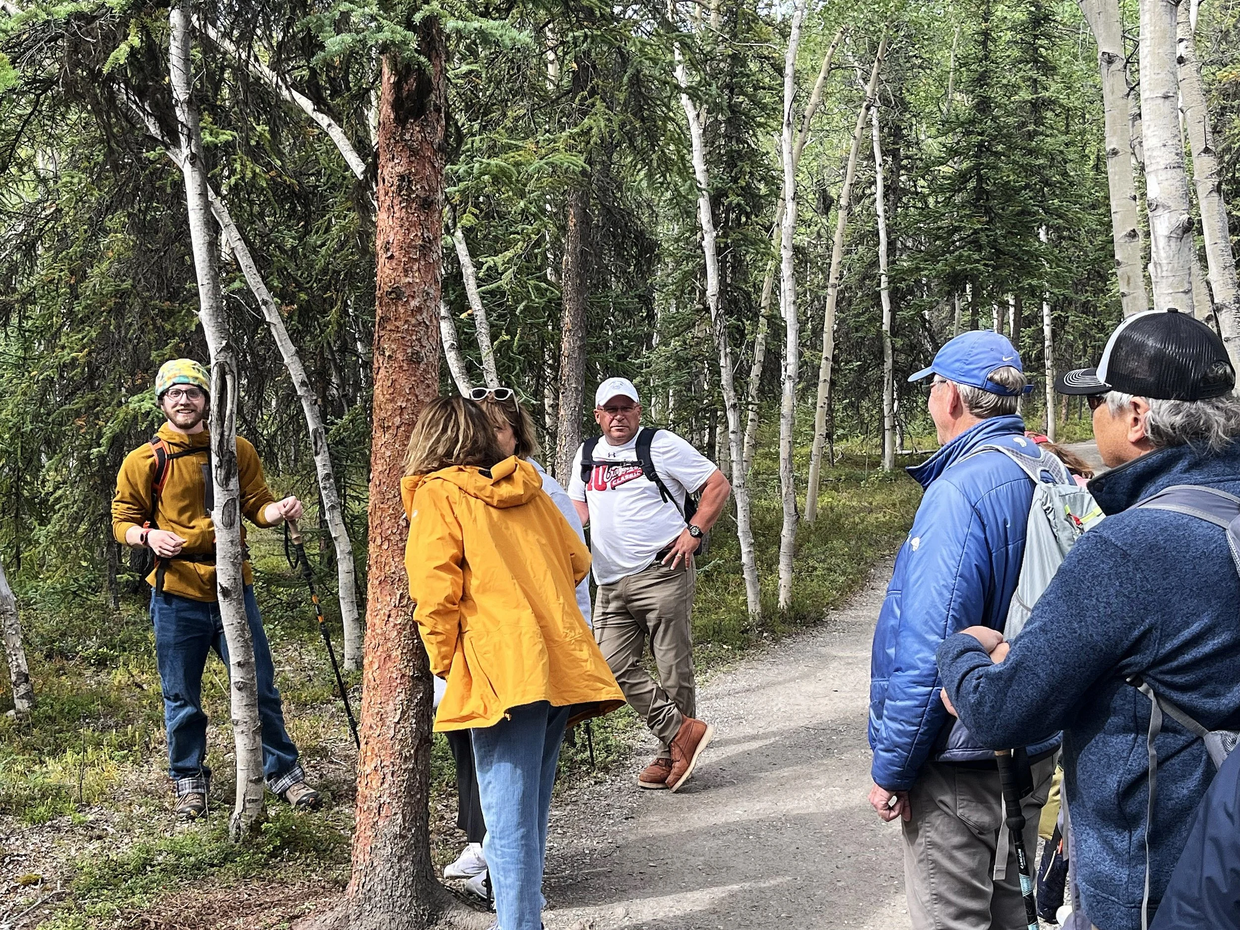Hiking on an easy trail in Denali National Park