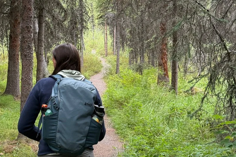 Your Leisurely Two Day Denali Itinerary