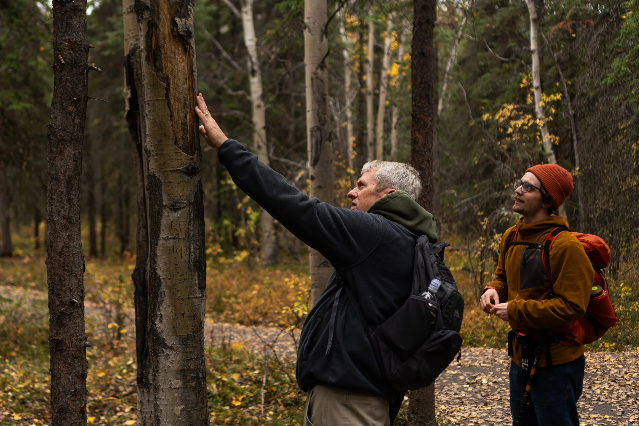 Three-Night Denali Itinerary for an Active Retired Pair&nbsp;&nbsp;