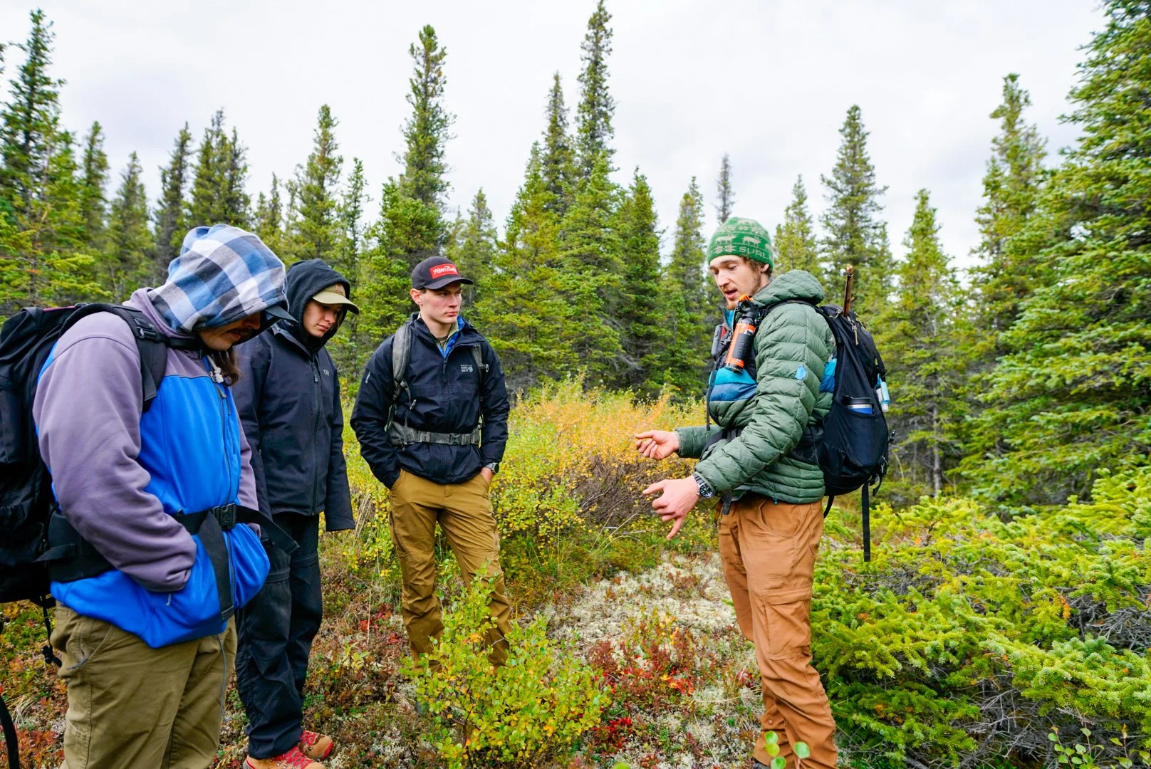 Pros of Guided Hikes and Non-Guided Hikes