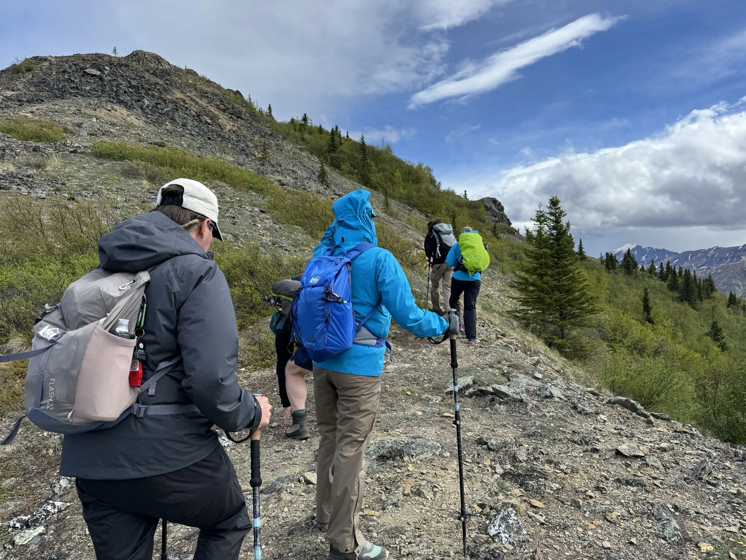 Why Most Guided Hikes in Denali Do Not Take Place Within the Park