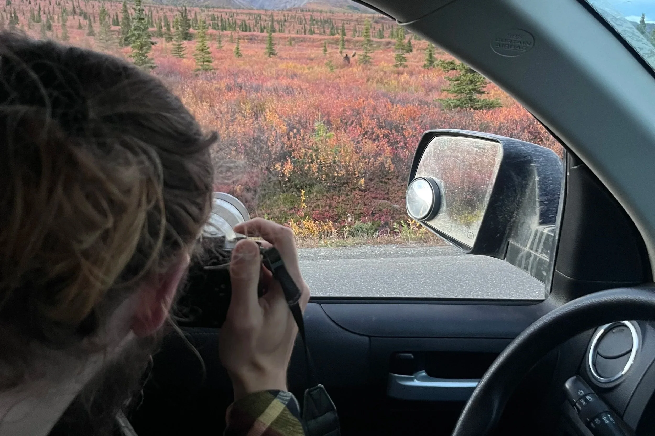 Guide to Transportation in Denali