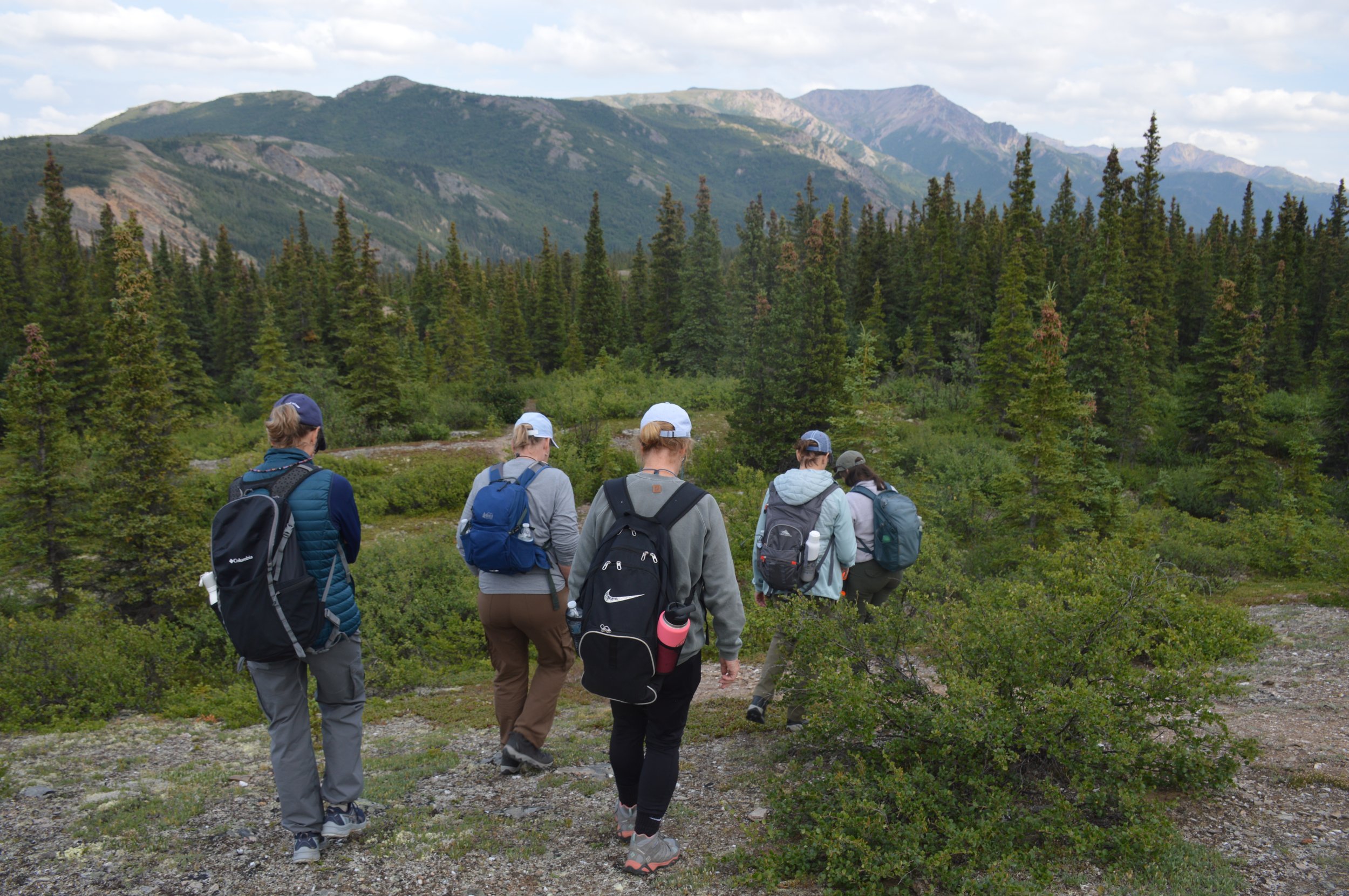 What is Bushwhacking?