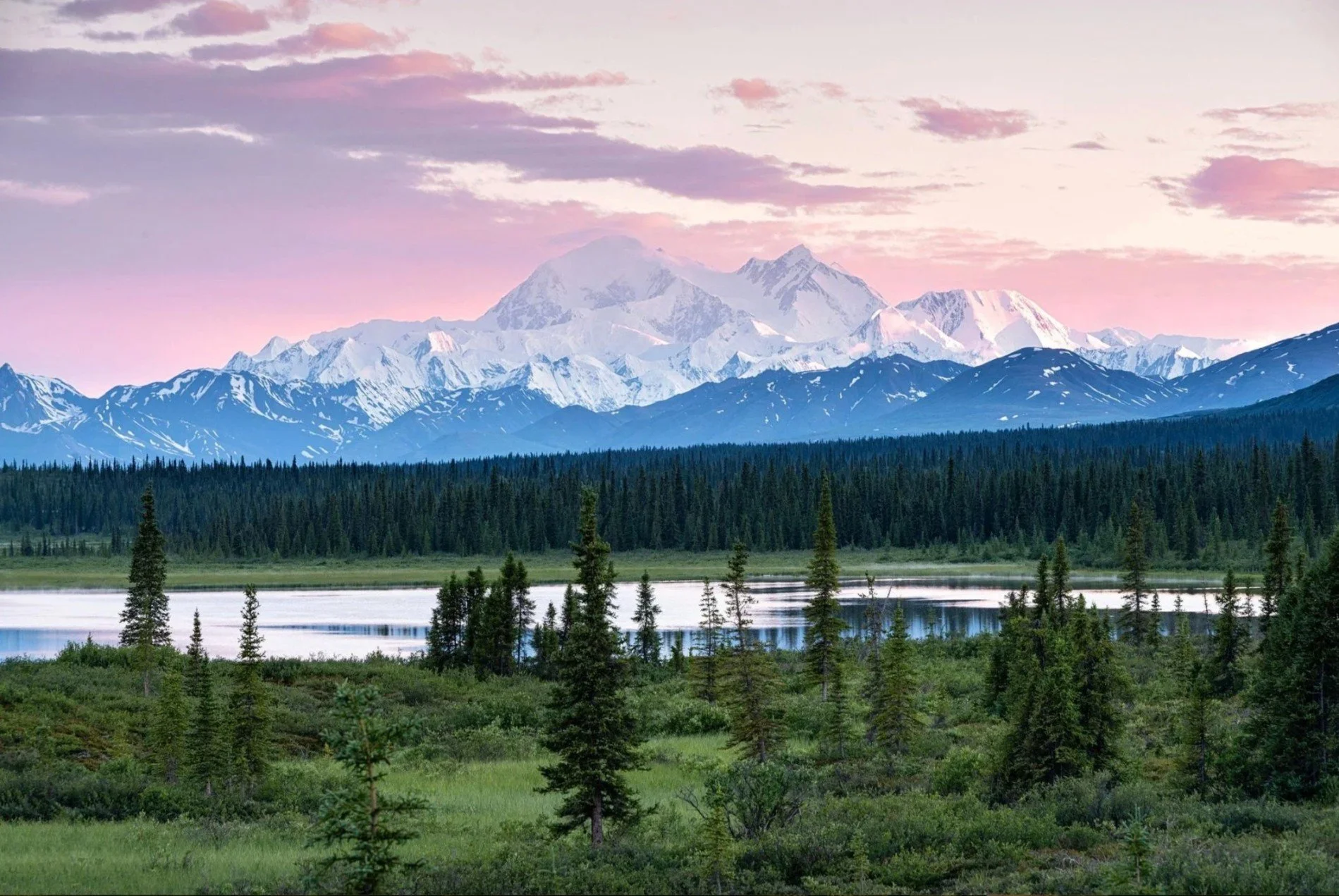 Snow-capped mountain range under pink and purple sky, with a dense forest of pine trees and a reflective body of water in the foreground.