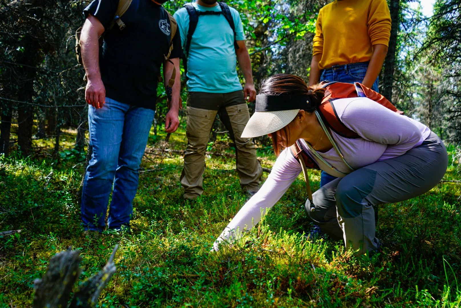 Group of four people in a forest, one woman crouching and examining plants, three people standing around watching, all wearing outdoor clothing and backpacks.
