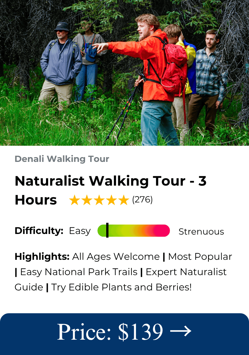 Denali Park Tours - Hiking and Survival With The Best in Denali