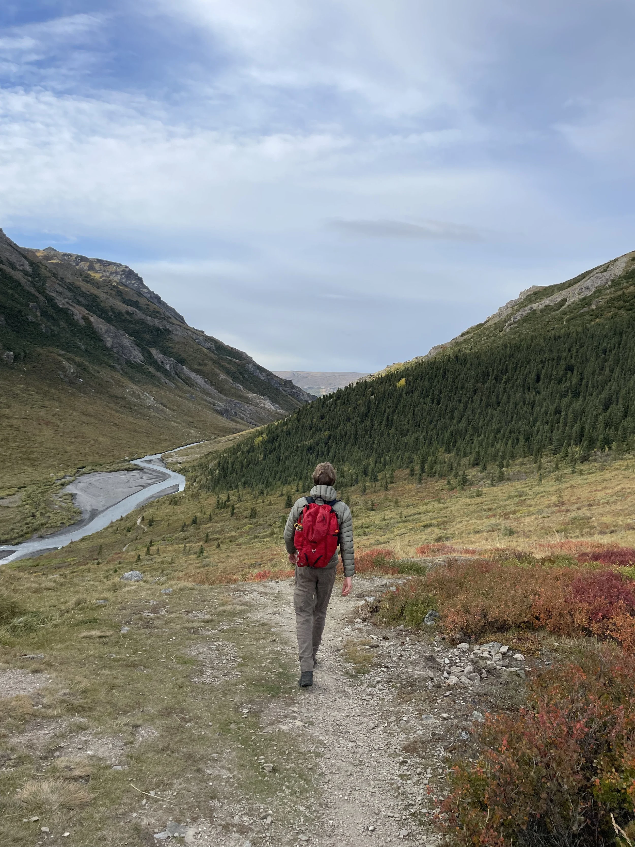 Person hiking on the Savage Alpine Trail in Denali National Park