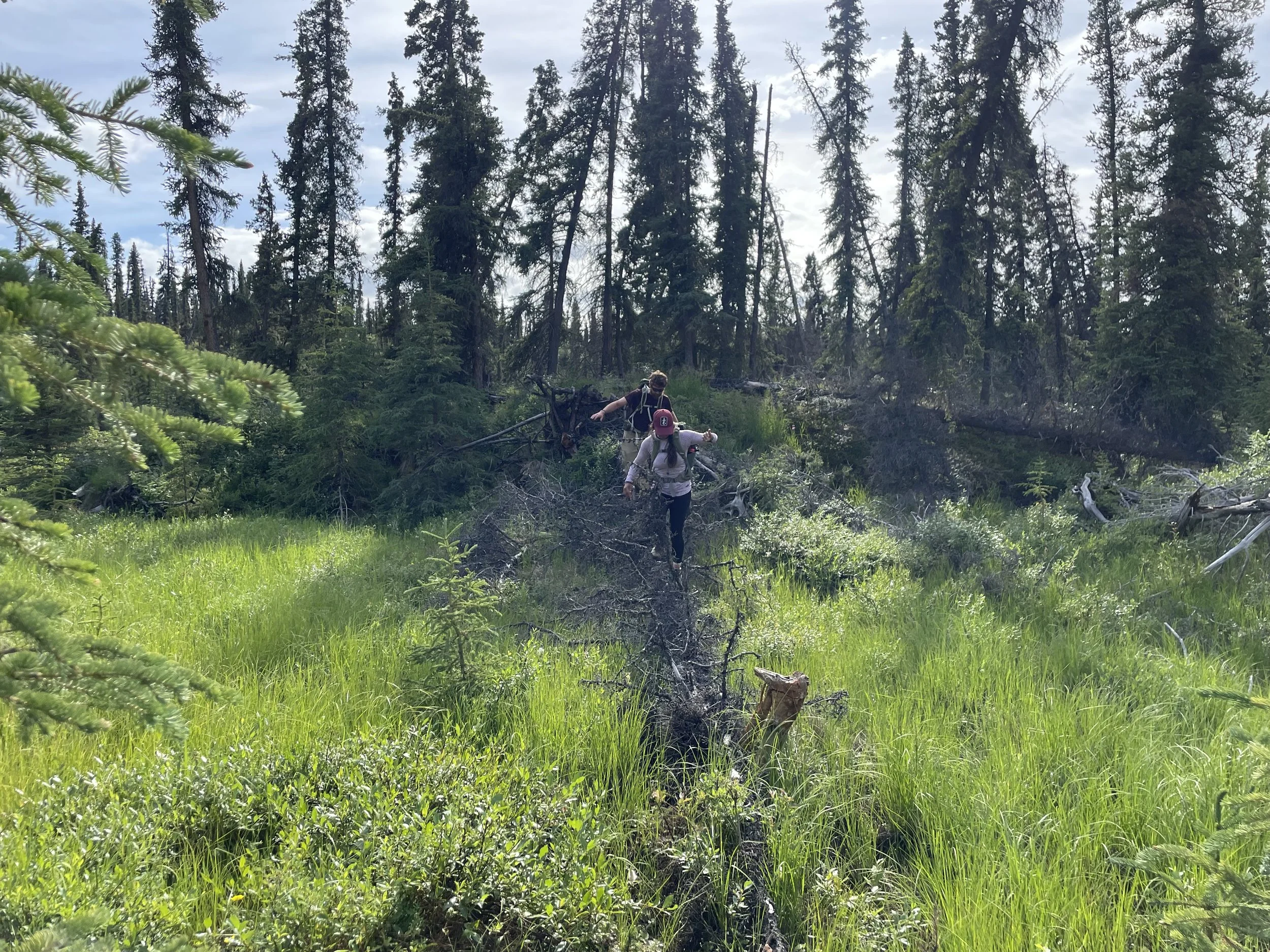 Two people navigating in the wild.