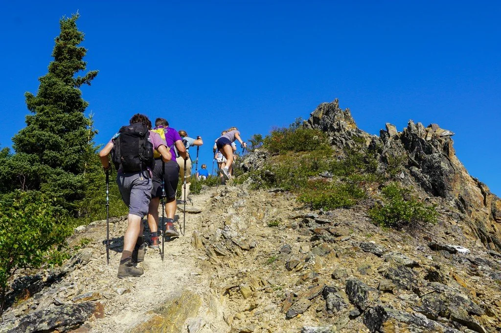 Hiking on a steep, challenging, and strenuous hiking trail in Denali National Park.