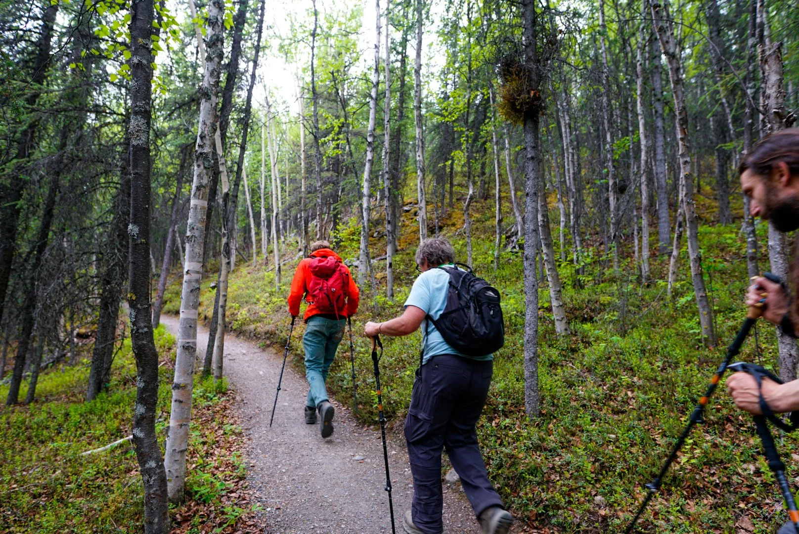 Hiking on a moderate difficulty trail in Denali National Park