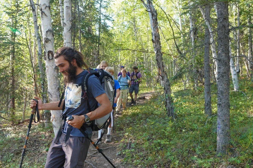 A group of people hiking on a moderately difficult trail near Denali