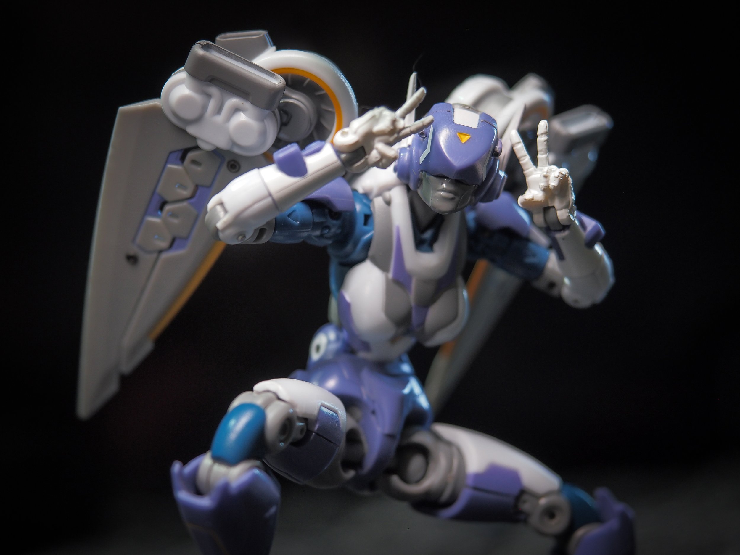 a10.jpg
